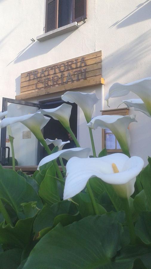 Trattoria Ceriati Room & Breakfast Salsomaggiore Terme Exterior foto